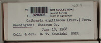 Image Associated With the Occurence